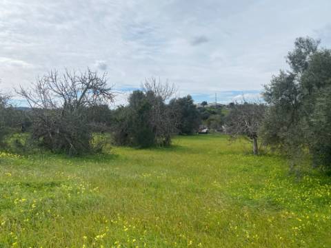 Terreno Rustico