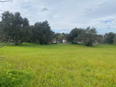 Terreno Rustico