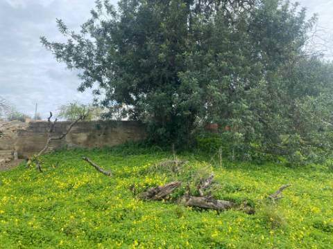 Terreno Rustico