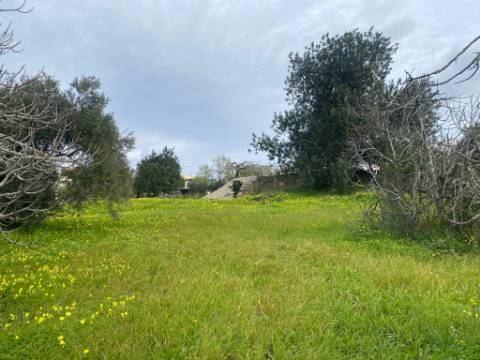 Terreno Rustico