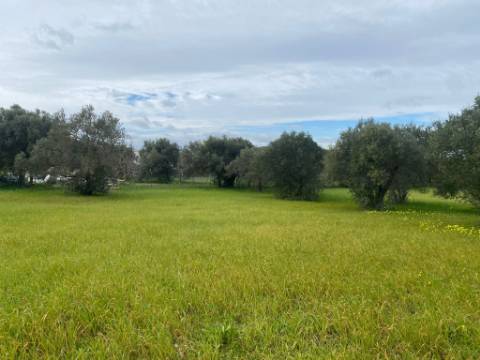 Terreno Rustico