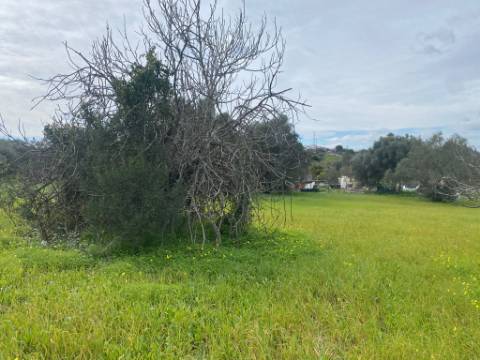 Terreno Rustico