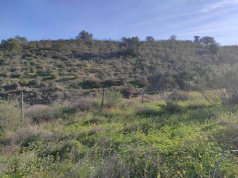 TERRENO RUSTICO COM 29.760 M2 - COM POÇO E ARVORES - CASTRO MARIM - ALGARVE