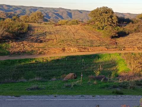 TERRENO RUSTICO COM 2.840 M2 - CORUJOS - CASTRO MARIM - ALGARVE