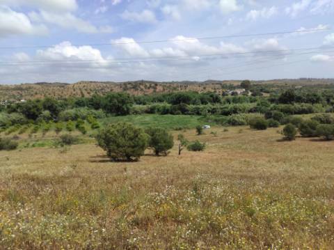 TERRENO RÚSTICO COM 6.960 M2 - RIO SECO - CASTRO MARIM - ALGARVE