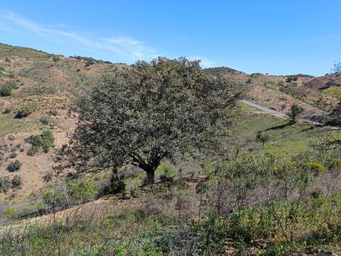 TERRENO COM 43.560 M2 - COM POSSIBILIDADE DE CONTRUIR UM ARMAZÉM - PRÓXIMO ALTA MORA - CASTRO MARIM - ALGARVE