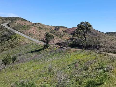TERRENO COM 43.560 M2 - COM POSSIBILIDADE DE CONTRUIR UM ARMAZÉM - PRÓXIMO ALTA MORA - CASTRO MARIM - ALGARVE