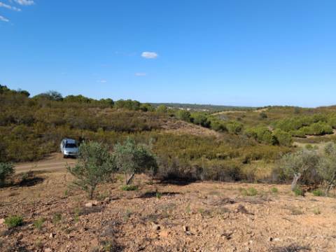 TERRENO RÚSTICO COM 5.560 M2 - COM ÁRVORES - ALCARIAS GRANDES - CASTRO MARIM - ALGARVE