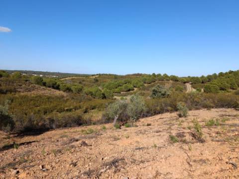 TERRENO RÚSTICO COM 5.560 M2 - COM ÁRVORES - ALCARIAS GRANDES - CASTRO MARIM - ALGARVE
