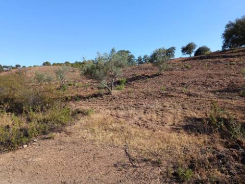 TERRENO RÚSTICO COM 5.560 M2 - COM ÁRVORES - ALCARIAS GRANDES - CASTRO MARIM - ALGARVE