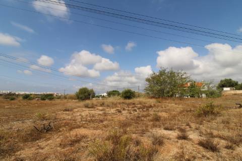 Terreno Misto