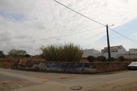 Terreno Misto