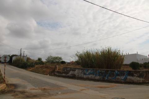 Terreno Misto