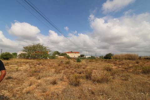 Terreno Misto