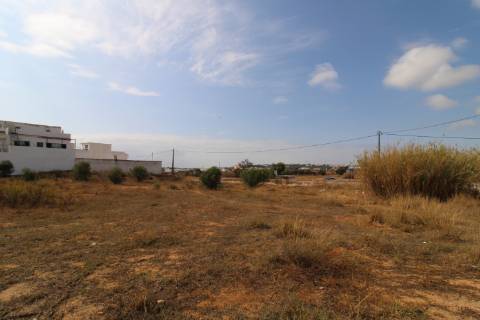 Terreno Misto
