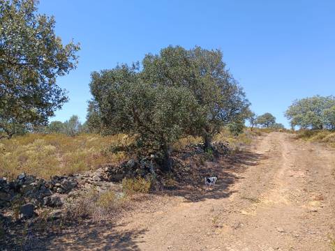 TERRENO COM VISTA RIO - COM 11.920 M2 PRÓXIMO A FOZ DE ODELEITE - CASTRO MARIM - ALGARVE