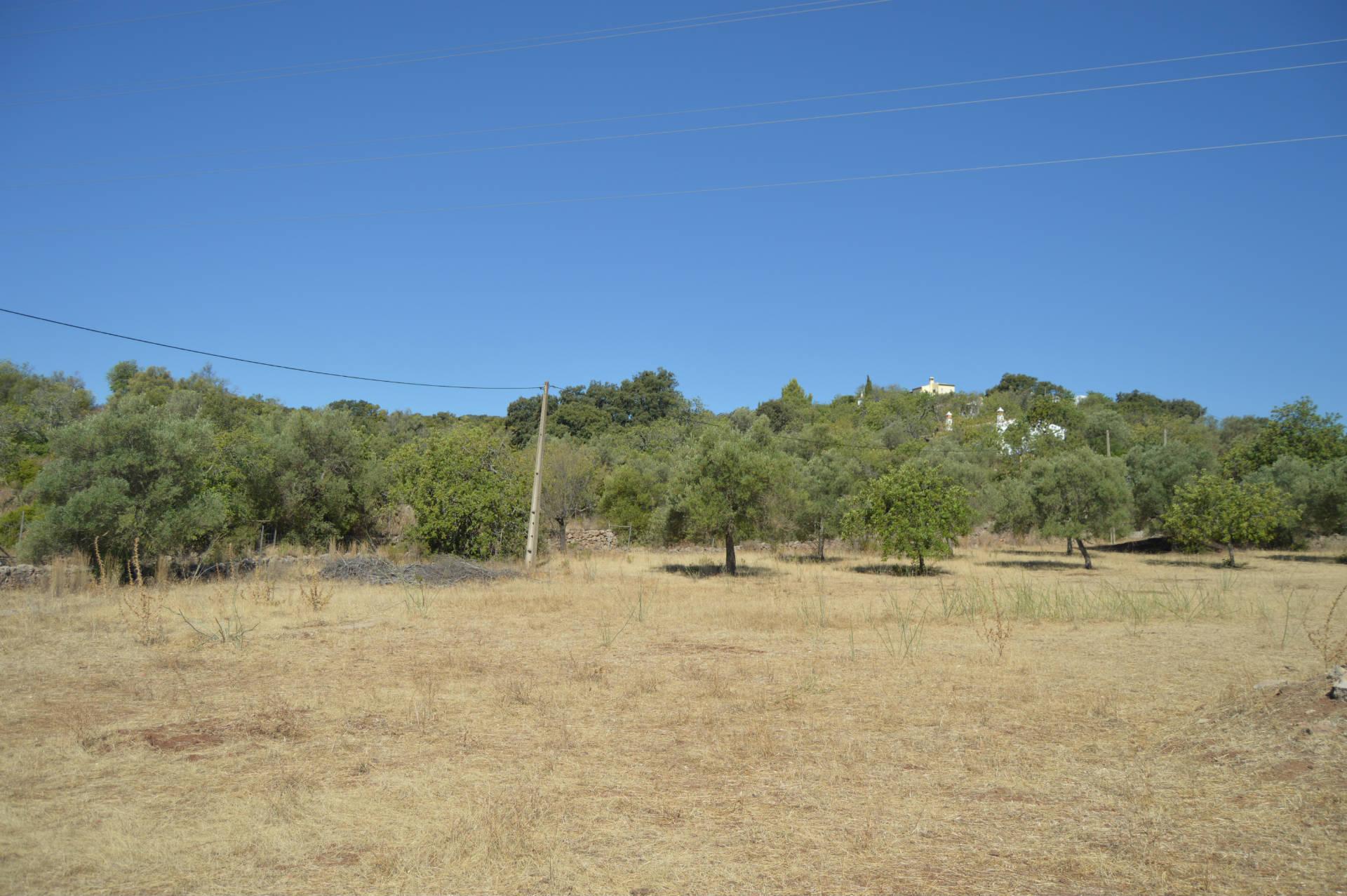 Terreno Rústico Desbarato, Santa Catarina da Fonte do Bispo