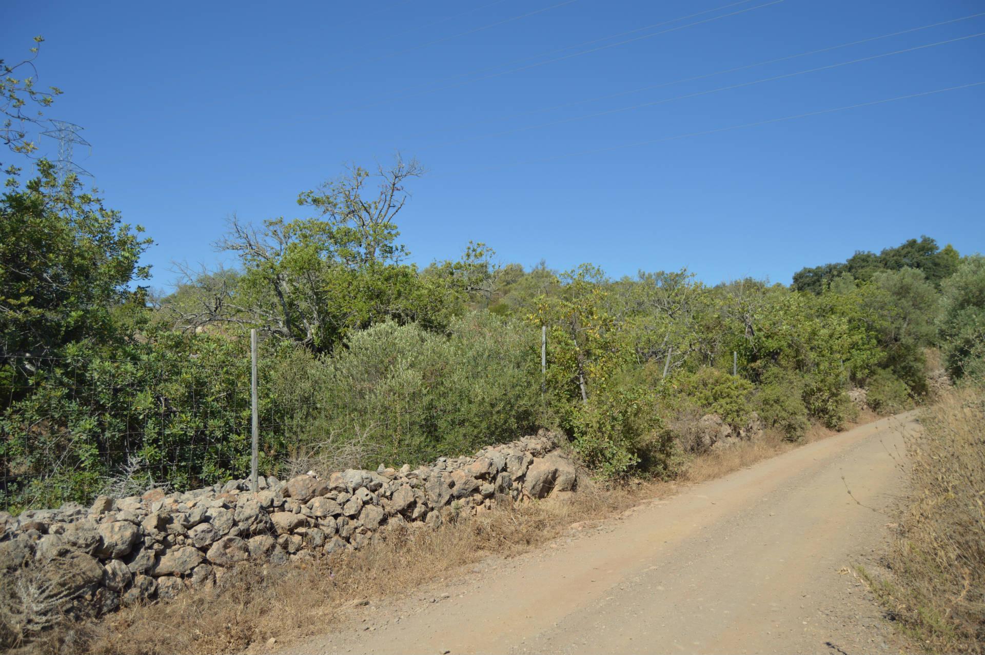 Terreno Rústico Desbarato, Santa Catarina da Fonte do Bispo