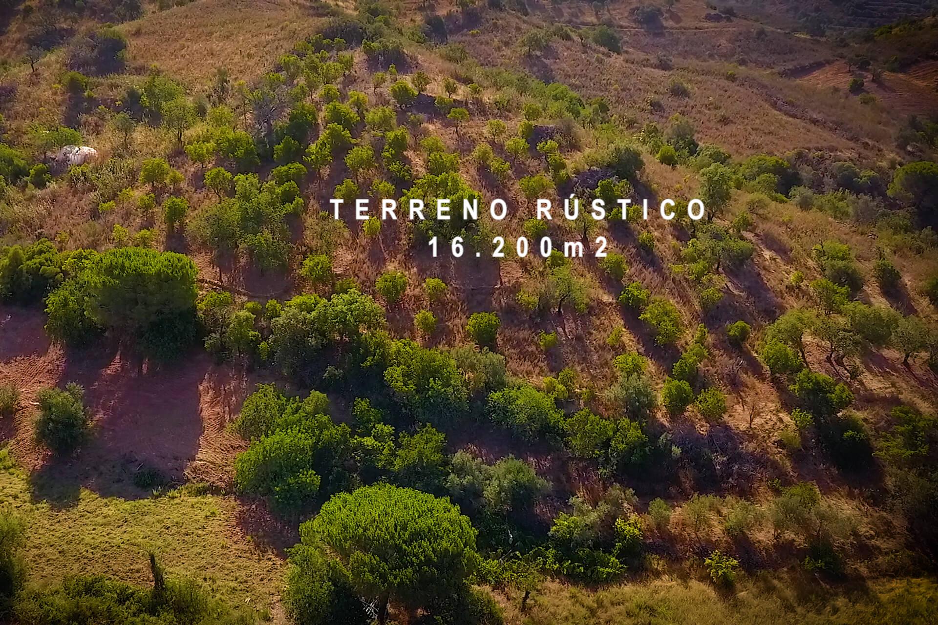 TERRENO COM PEQUENA RUÍNA EM CORTE DO PESO