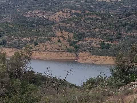 TERRENO COM 2.480 M2 - NA CHOÇA QUEIMADA - ODELEITE - CASTRO MARIM - ALGARVE