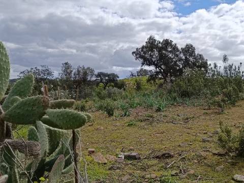 TERRENO COM 2.480 M2 - NA CHOÇA QUEIMADA - ODELEITE - CASTRO MARIM - ALGARVE