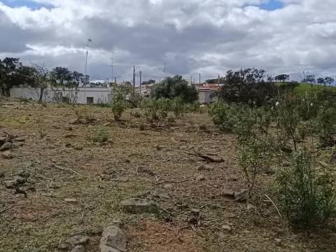 TERRENO COM 2.480 M2 - NA CHOÇA QUEIMADA - ODELEITE - CASTRO MARIM - ALGARVE