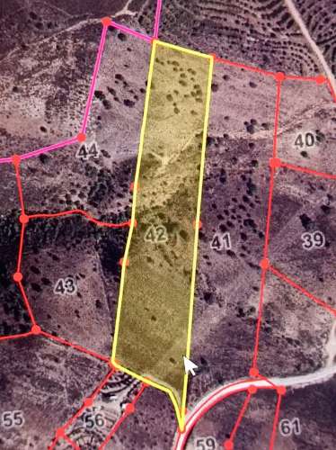 TERRENO COM 19.280 M2 - ALCARIA - ODELEITE - CASTRO MARIM - ALGARVE