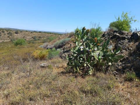 TERRENO COM 19.280 M2 - ALCARIA - ODELEITE - CASTRO MARIM - ALGARVE