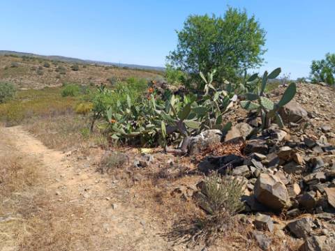 TERRENO COM 19.280 M2 - ALCARIA - ODELEITE - CASTRO MARIM - ALGARVE