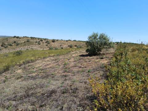 TERRENO COM 19.280 M2 - ALCARIA - ODELEITE - CASTRO MARIM - ALGARVE