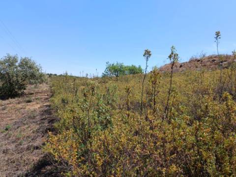 TERRENO COM 19.280 M2 - ALCARIA - ODELEITE - CASTRO MARIM - ALGARVE