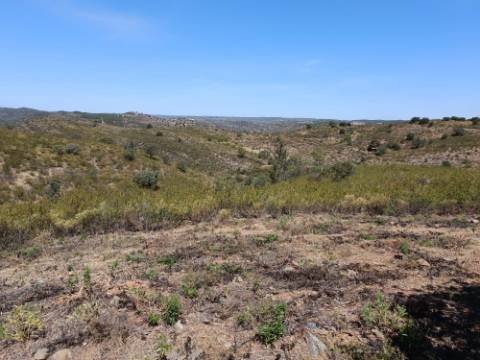 TERRENO COM 19.280 M2 - ALCARIA - ODELEITE - CASTRO MARIM - ALGARVE