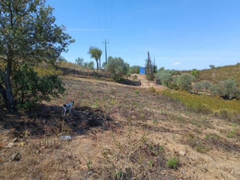 TERRENO COM 19.280 M2 - ALCARIA - ODELEITE - CASTRO MARIM - ALGARVE