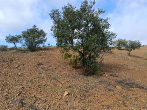 TERRENO RÚSTICO COM 5.640 M2 EM ALCARIAS GRANDES - CASTRO MARIM - ALGARVE