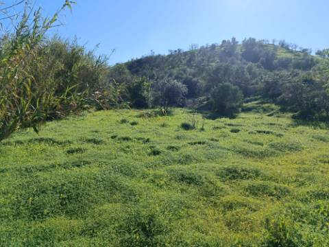 TERRENO COM 8.760 M2 - COM POÇO - EM PISA BARRO - CASTRO MARIM - ALGARVE