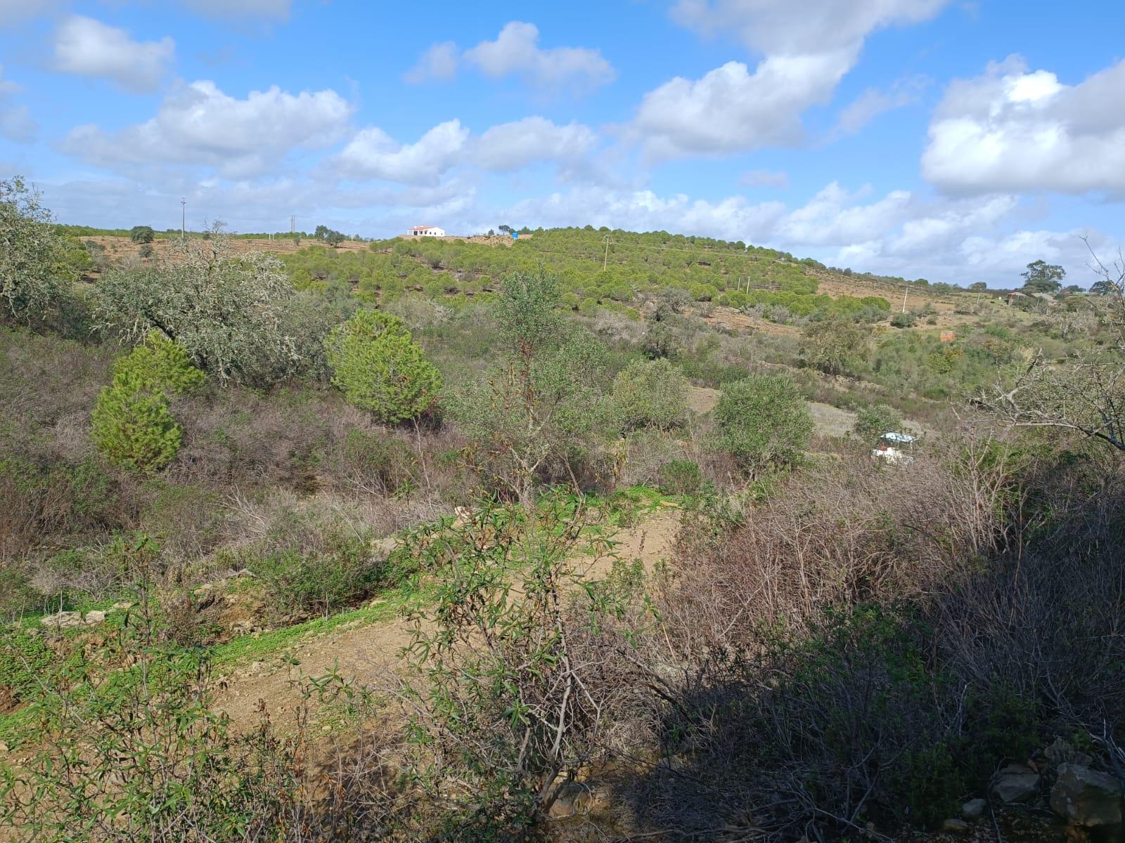 TERRENO RÚSTICO COM 13.120 M2 - TORNEIRO - ALCOUTIM - ALGARVE