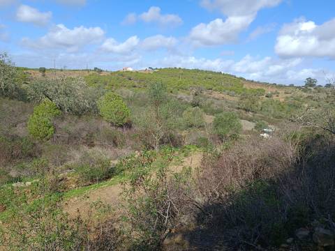 TERRENO RÚSTICO COM 13.120 M2 - TORNEIRO - ALCOUTIM - ALGARVE