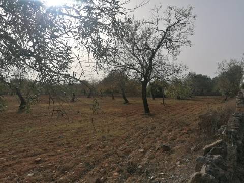 Terreno Urbano para construção de Moradia/s ,8250m2 e 3300m2 de área bruta de construção...
