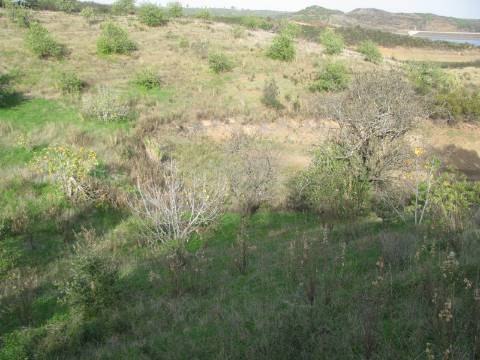 TERRENO COM 27.600 M2 - JUNTO AO LAGO - POSSIBILIDADE DE CONSTRUIR APOIO AGRICOLA - ALCARIAS GRANDES - CASTRO MARIM - ALGARVE