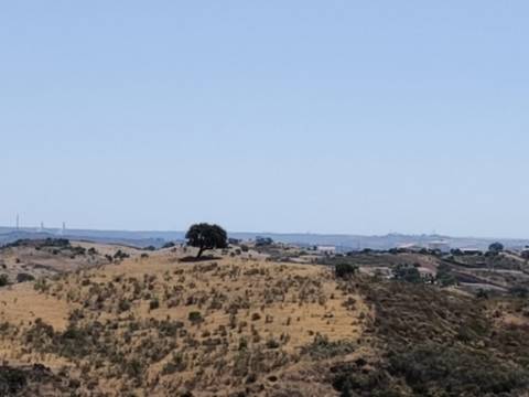 TERRENO COM 15.880 M2 - COM ÁGUA - COM POSSIBILIDADE DE CONSTRUÇÃO DE APOIO AGRICOLA - ALTURA - CASTRO MARIM - ALGARVE