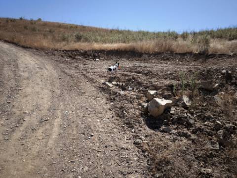 TERRENO COM 15.880 M2 - COM ÁGUA - COM POSSIBILIDADE DE CONSTRUÇÃO DE APOIO AGRICOLA - ALTURA - CASTRO MARIM - ALGARVE