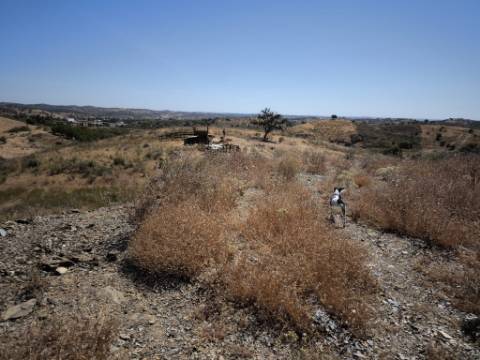 TERRENO COM 15.880 M2 - COM ÁGUA - COM POSSIBILIDADE DE CONSTRUÇÃO DE APOIO AGRICOLA - ALTURA - CASTRO MARIM - ALGARVE