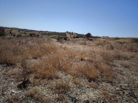 TERRENO COM 15.880 M2 - COM ÁGUA - COM POSSIBILIDADE DE CONSTRUÇÃO DE APOIO AGRICOLA - ALTURA - CASTRO MARIM - ALGARVE