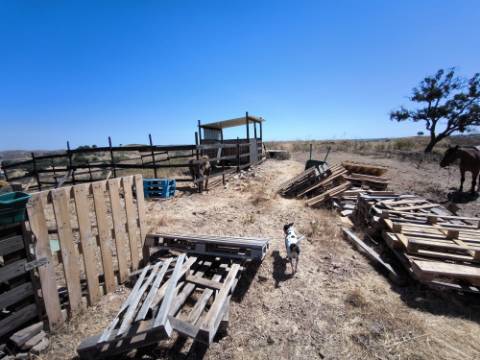 TERRENO COM 15.880 M2 - COM ÁGUA - COM POSSIBILIDADE DE CONSTRUÇÃO DE APOIO AGRICOLA - ALTURA - CASTRO MARIM - ALGARVE