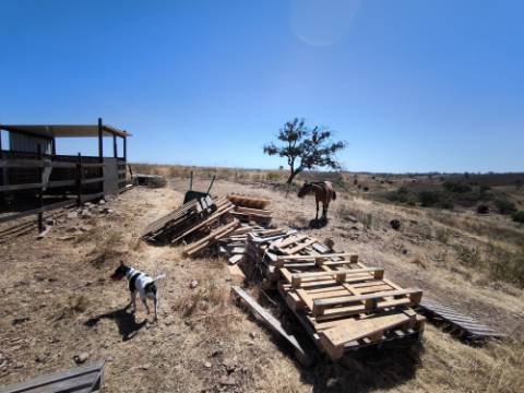 TERRENO COM 15.880 M2 - COM ÁGUA - COM POSSIBILIDADE DE CONSTRUÇÃO DE APOIO AGRICOLA - ALTURA - CASTRO MARIM - ALGARVE