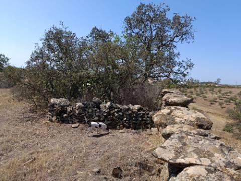 TERRENO COM 7.200 M2 - PRÓXIMO DA VILA ALDEIA - JUNTO AO CENTRO DO AZINHAL - CASTRO MARIM - ALGARVE