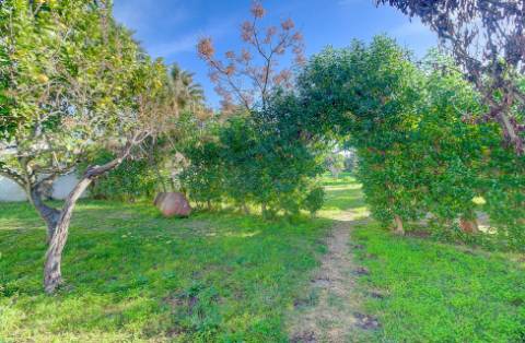 Exclusiva Quinta Tradicional Algarvia com Potencial de Desenvolvimento - Vila Nova de Cacela