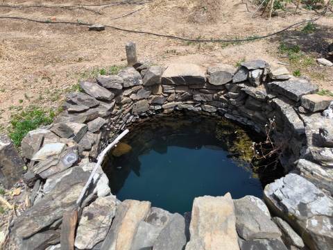 TERRENO COM 9.550 M2 - COM POÇO - NA CARRAPATEIRA EM TAVIRA - ALGARVE