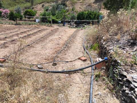 TERRENO COM 9.550 M2 - COM POÇO - NA CARRAPATEIRA EM TAVIRA - ALGARVE