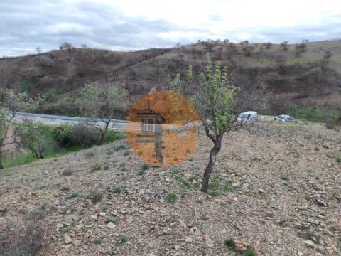 TERRENO COM 9.550 M2 - COM POÇO - NA CARRAPATEIRA EM TAVIRA - ALGARVE